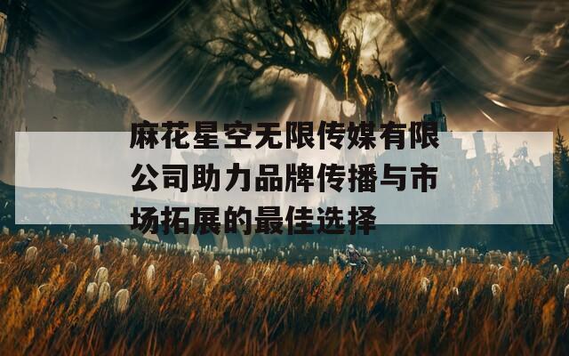 麻花星空无限传媒有限公司助力品牌传播与市场拓展的最佳选择