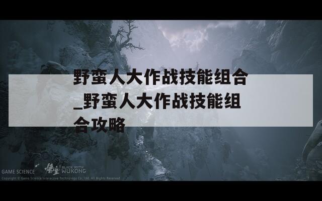 野蛮人大作战技能组合_野蛮人大作战技能组合攻略  第1张