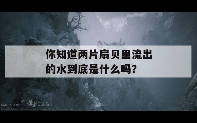 你知道两片扇贝里流出的水到底是什么吗？