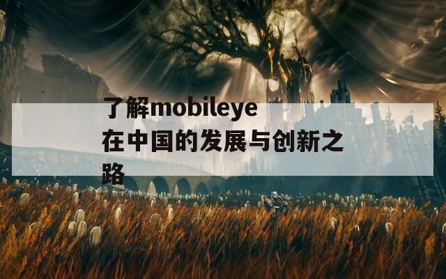 了解mobileye在中国的发展与创新之路