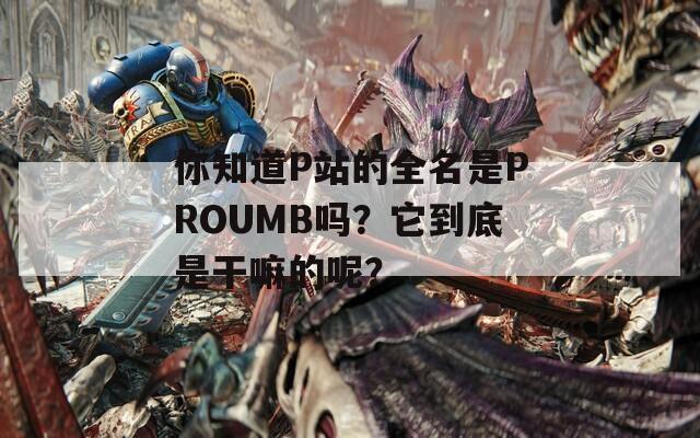 你知道P站的全名是PROUMB吗？它到底是干嘛的呢？  第1张