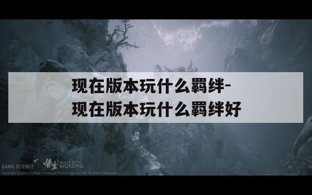 现在版本玩什么羁绊-现在版本玩什么羁绊好