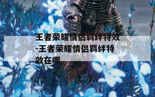 王者荣耀情侣羁绊特效-王者荣耀情侣羁绊特效在哪