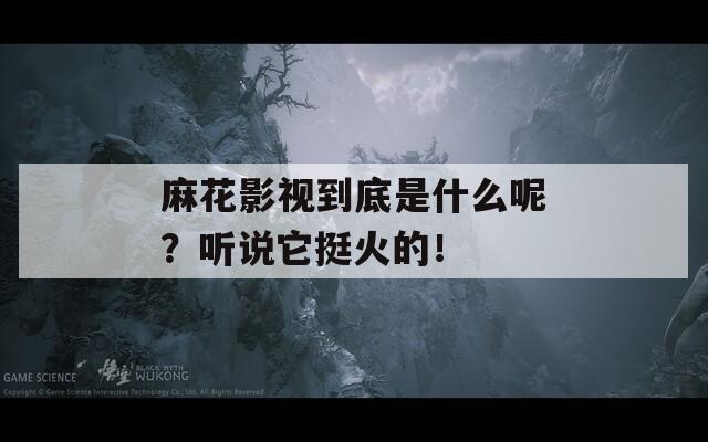麻花影视到底是什么呢？听说它挺火的！