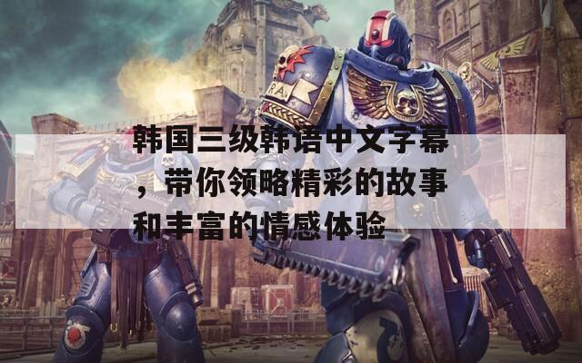 韩国三级韩语中文字幕，带你领略精彩的故事和丰富的情感体验  第1张