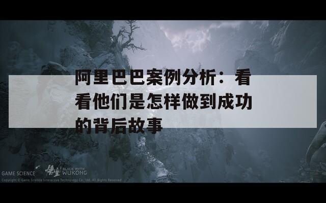 阿里巴巴案例分析：看看他们是怎样做到成功的背后故事