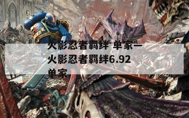 火影忍者羁绊 单家—火影忍者羁绊6.92单家  第1张