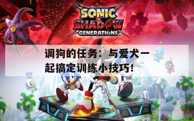 调狗的任务：与爱犬一起搞定训练小技巧！  第1张
