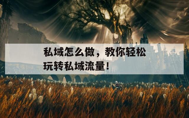 私域怎么做，教你轻松玩转私域流量！