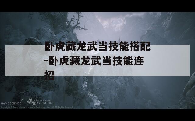 卧虎藏龙武当技能搭配-卧虎藏龙武当技能连招  第1张