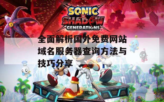 全面解析国外免费网站域名服务器查询方法与技巧分享