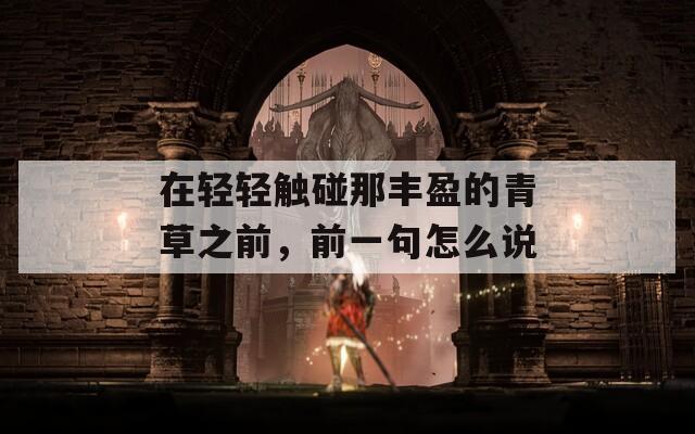 在轻轻触碰那丰盈的青草之前，前一句怎么说