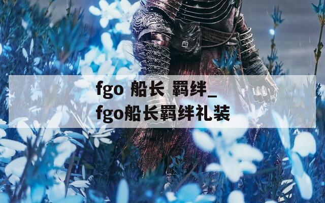 fgo 船长 羁绊_fgo船长羁绊礼装  第1张