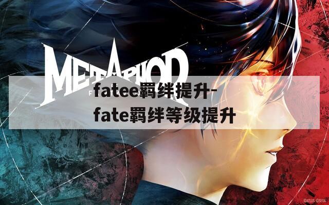 fatee羁绊提升-fate羁绊等级提升  第1张