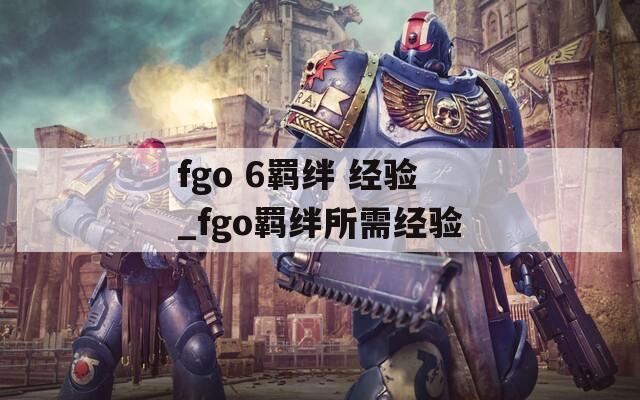 fgo 6羁绊 经验_fgo羁绊所需经验  第1张
