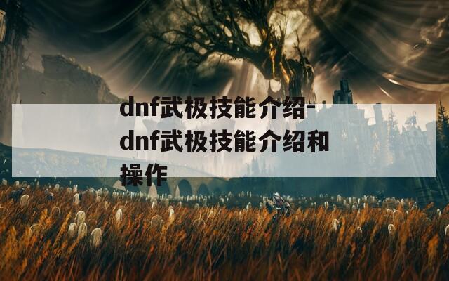 dnf武极技能介绍-dnf武极技能介绍和操作  第1张