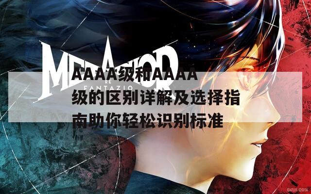 AAAA级和AAAA级的区别详解及选择指南助你轻松识别标准