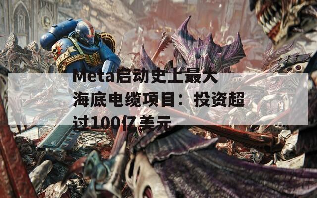 Meta启动史上最大海底电缆项目：投资超过100亿美元  第1张