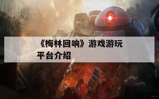 《梅林回响》游戏游玩平台介绍  第1张
