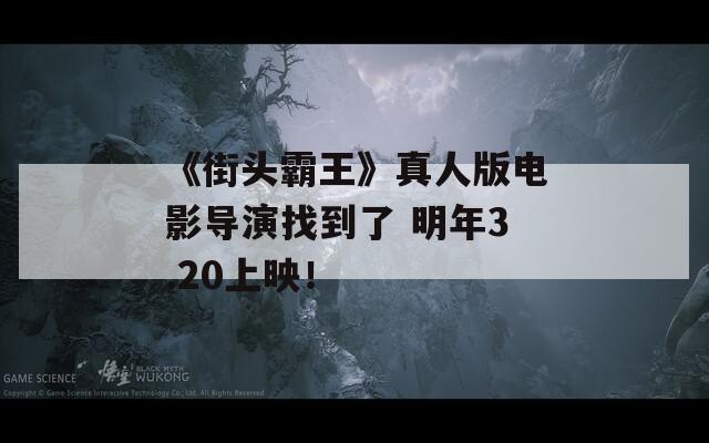 《街头霸王》真人版电影导演找到了 明年3.20上映！  第1张