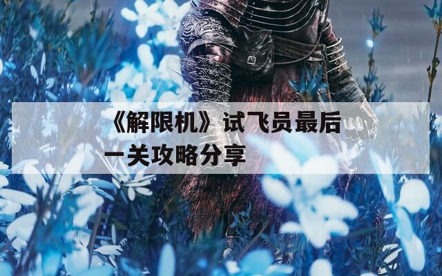 《解限机》试飞员最后一关攻略分享  第1张
