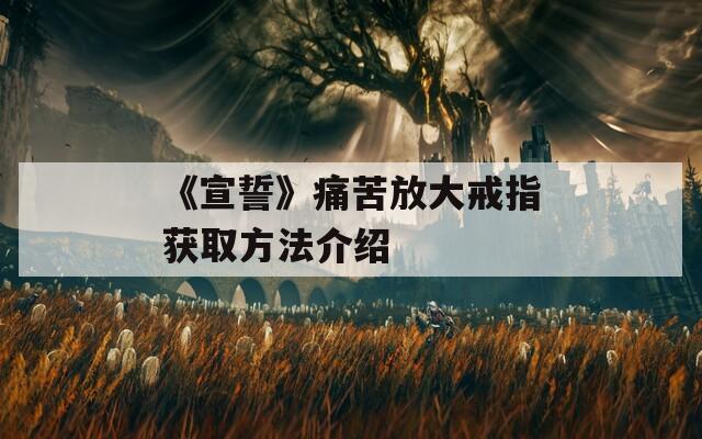 《宣誓》痛苦放大戒指获取方法介绍  第1张