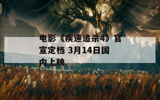 电影《疾速追杀4》官宣定档 3月14日国内上映  第1张