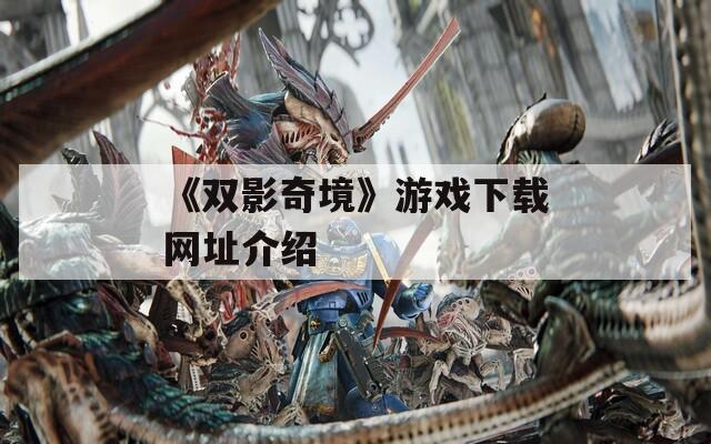 《双影奇境》游戏下载网址介绍  第1张