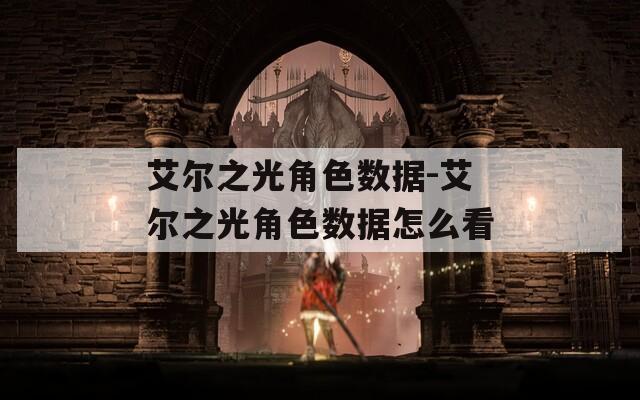 艾尔之光角色数据-艾尔之光角色数据怎么看  第1张