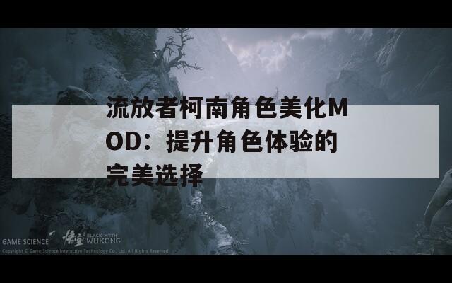 流放者柯南角色美化MOD：提升角色体验的完美选择