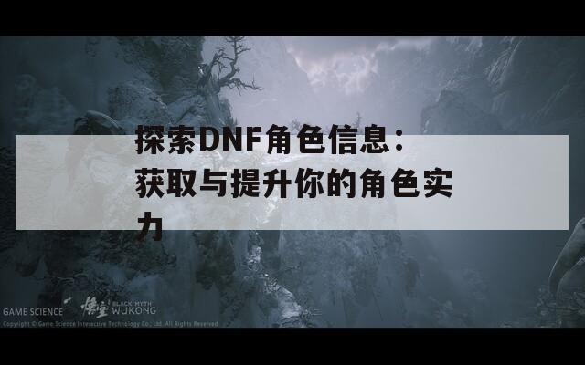 探索DNF角色信息：获取与提升你的角色实力  第1张