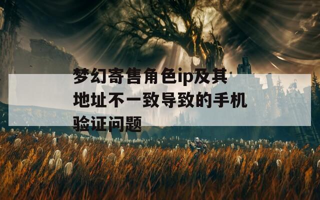 梦幻寄售角色ip及其地址不一致导致的手机验证问题  第1张