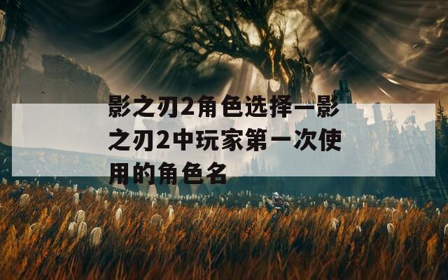 影之刃2角色选择—影之刃2中玩家第一次使用的角色名  第1张