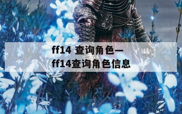 ff14 查询角色—ff14查询角色信息  第1张